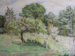 Back Pasture, Apple Trees