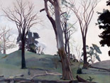 Dead Elms, Sheffield