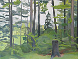 Drury Land