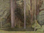 Edge of Pine Wood, Sheffield