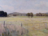 Hewins Fields