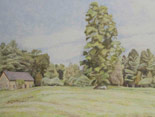 Locust Tree and Barn, Sheffield