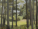 Pine Woods