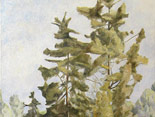 Two Cedars