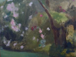 Flowering Woods, Hingham