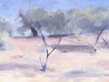 Mesquite, Tubac