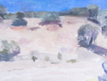 Desert Near Tubac