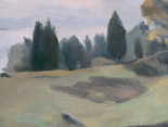 Back Pasture Cedars, Sheffield