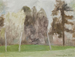 Back of the Barn, Spring