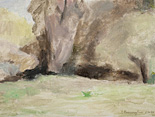 Pig Nut Tree, Spring