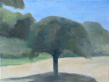 Apple Tree, Blue Sky, Sheffield