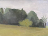 Back Pasture, Sheffield