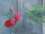 Roses and Barn, Sheffield