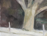 Ash Tree, Sheffield
