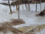 Frog Pond in Winter, Sheffield