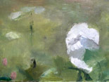 Peony