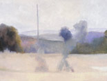 Field with Young Olive Trees