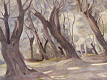 Olive Trees, Bogliasco