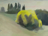 Yellow Bush, Vagliagli