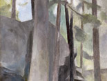 Arthur's Spruce, Vinalhaven