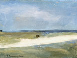 Beach at Martha's Vineyard