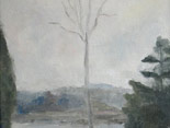 Birch Overlooking Thoroughfare, Vinalhaven