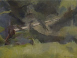 Looking into the Underbrush, Vinalhaven