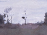 Blasted Tree