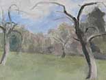 Apple Trees in March, Sheffield