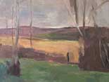 Back Fields, Sheffield