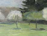 Three Apple Trees in Blossom